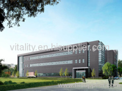 YueQing Vitality Automobile electric Co. Ltd