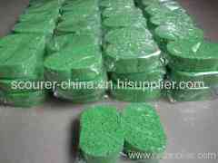 cellulose sponge