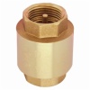 Forged Brass Spring Check Valve