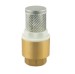 Brass Spring Check Valve With Stainless Steel Filter