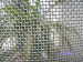 galvanized square wire screen