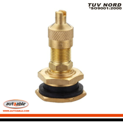 TR657-03 Tire Valves Metal