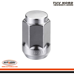 Alloy tire accessory wheel nuts