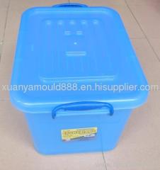 plastic storage box mould/mold