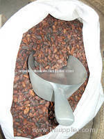 Cocoa Beans