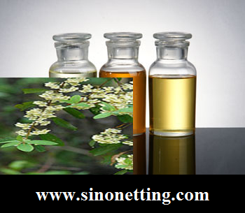 Litsea Cubeba oil