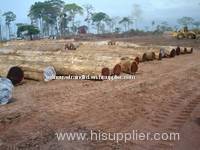 African Hardwood Sawn timber logs for sale