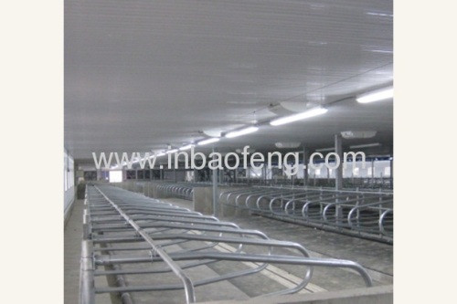 cattle equipment cattle free stall barn equipment IN-M097