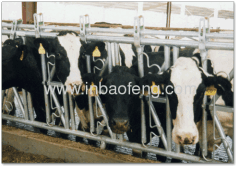 cattle equipment cattle headlocks headlock IN-M100