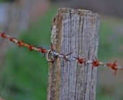 How to Attach Wire Mesh