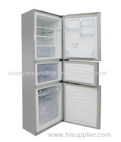 refrigerator mould