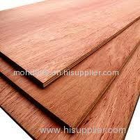 okoume bintagor keruing birch poplar oak plywood