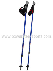 high quality competitive price trekking pole