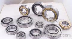 High Quality Cylindrical Roller Bearing (N2313) Supplier