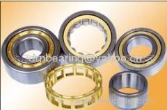 Professional Supplier of Cylindrical Roller Bearing (NJ1019m)