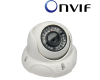 2 Megapixel Vandal proof Dome IP Camera (IGV-IP204) Support iPhone/iPad/Android