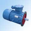 YBS(DSB,JDSB) Series of Flame-proof Three-phase Induction Motor for conveyor