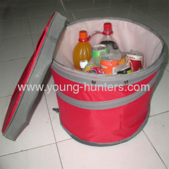 Insulated Wine Cooler Bag