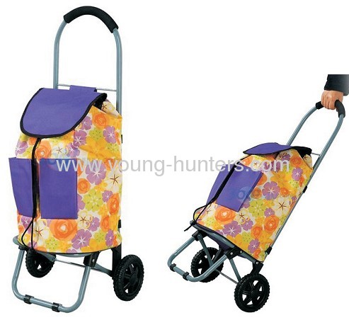 Handle Shopping Trolleys