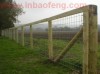 p-k36 new style high quality wire mesh fence