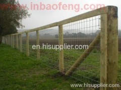 p-k36 new style high quality wire mesh fence