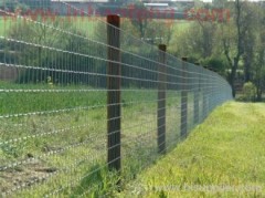 p-k37 new style high quality wire mesh fence