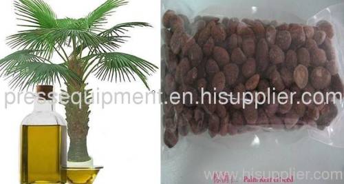 Palm Oil Mill Processing
