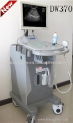 Ultrasonic Diagnostic Apparatus DW370