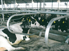 cattle equipment cattle free stall dairy equipments IN-M112