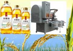 rice bran oil pressing