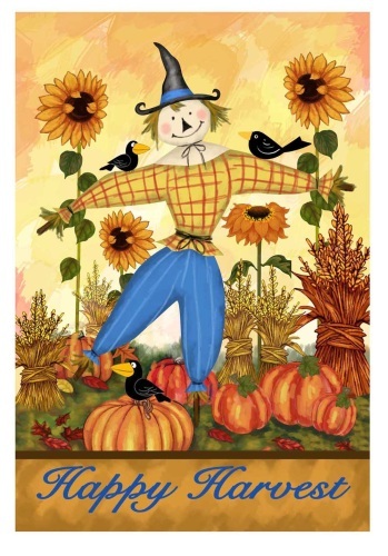 scarecrow garden flag