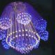 optic fiber light :optic fiber chandelier:drop light