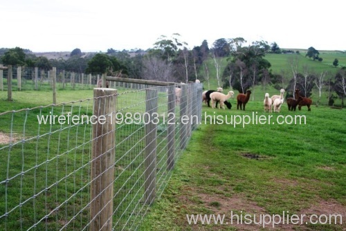 cattle fence