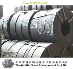 Stainless Steel Coil 304