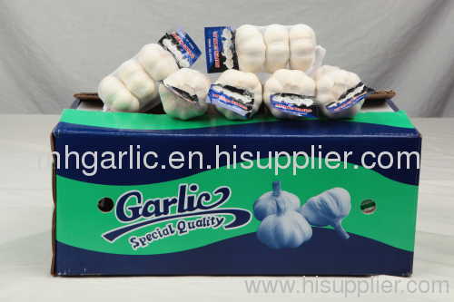 normal white garlic&pure white garlic