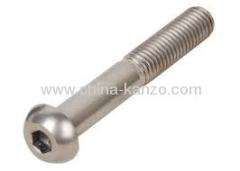 Stainless steel Hex Socket Screw