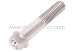 Hexagon Flange Bolts