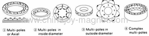 Rotor Magnets Injection Bonded Magnets