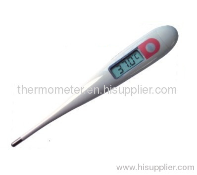 waterproof thermometer
