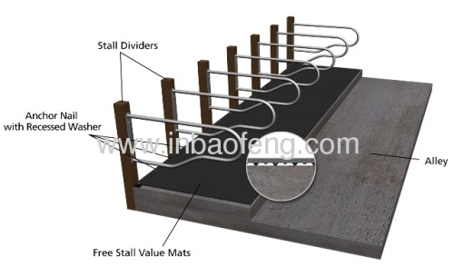 relax stall cattle equipment