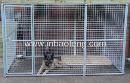 steel dog cage