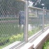 Chain Link Fence