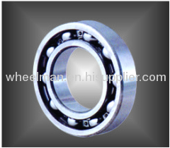 Extra Large Deep Groove Ball Bearings