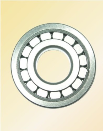 single row full complement cylindrical roller bearings