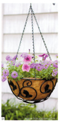 hanging baskets