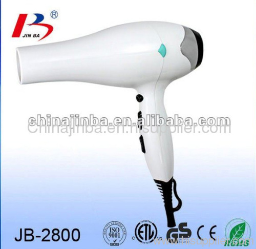 2012 New Powerfrugal Professional Hair Dryer