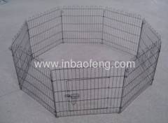 dog yard dog cage