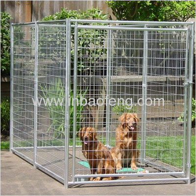 dog yards dog cage