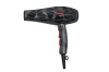 Powerfrugal Professional Hair Dryer