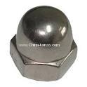 Stainless steel Cap Nut